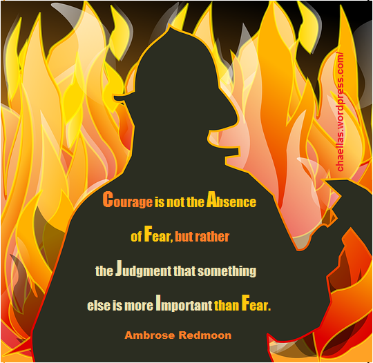 "Courage is not the absence of fear, but rather the judgment that something else is more important than fear." by Ambrose Redmoon